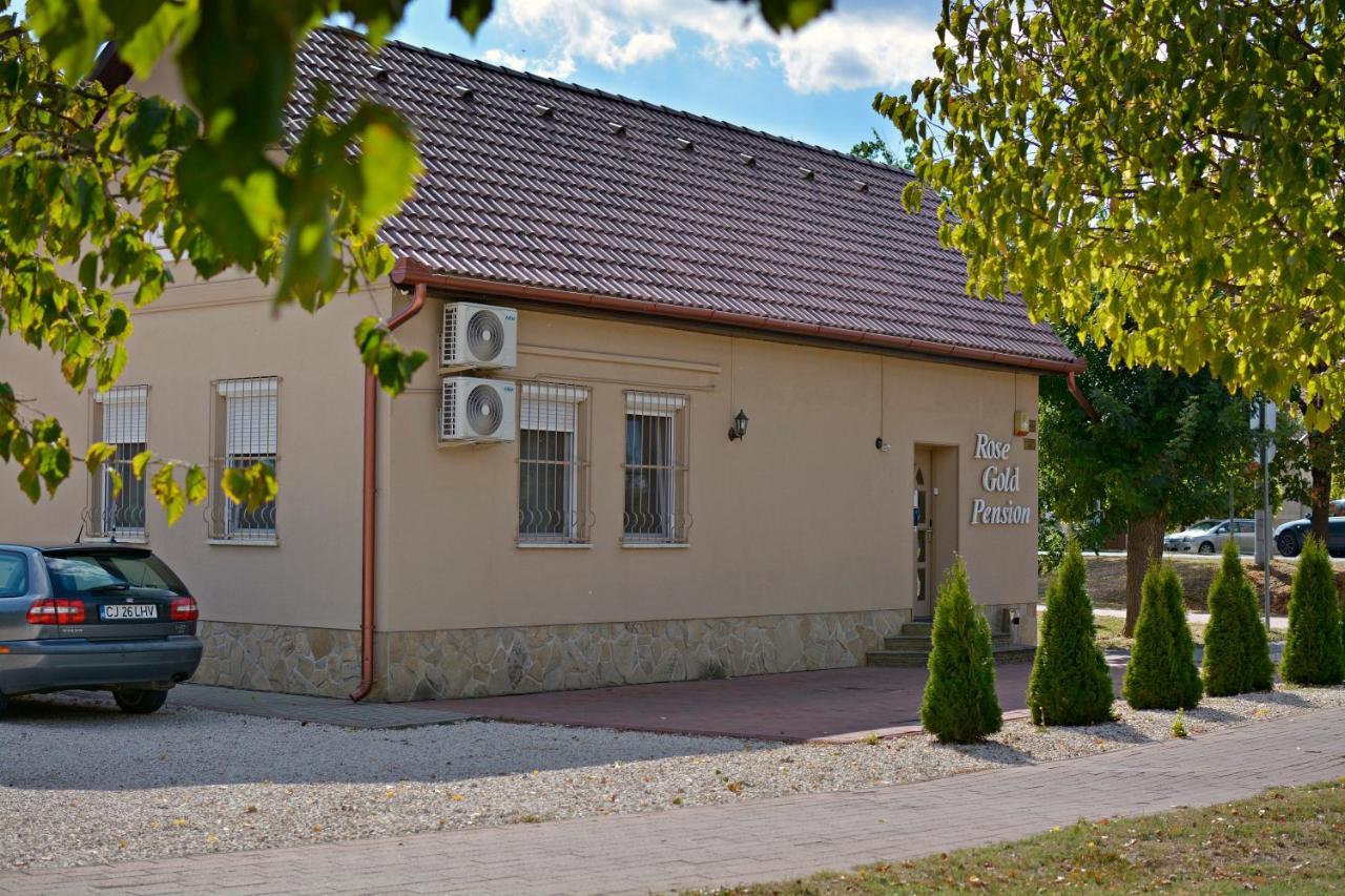 R.Gold Apartman Makó Exteriér fotografie